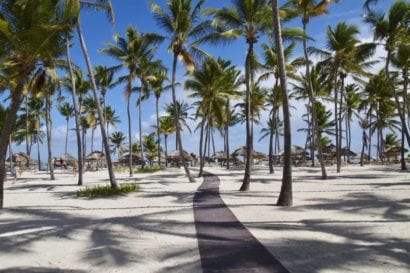 path under palm trees to swim-up bar at caribbean resort