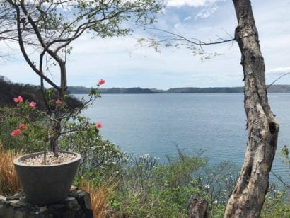 Flowers and body of water in Costa Rica
