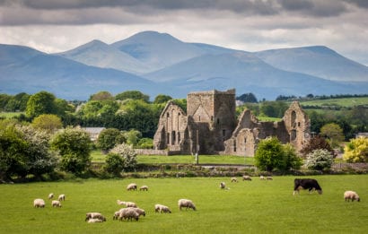 Farm animals grazing in field next to old castle with mountains in the background in Ireland