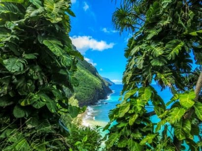 hawaii 3