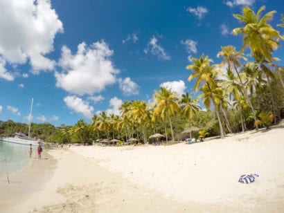 Caribbean 3