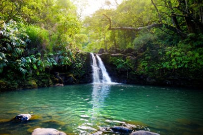 Hawaii 3