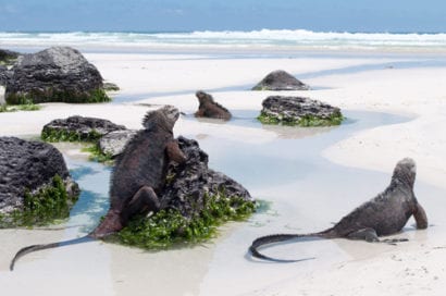 virgin islands 5