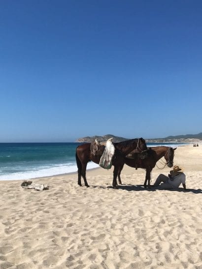 Riding horses on the beach in Los Cabos