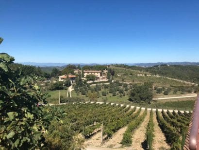 Italy - Florence - Winery