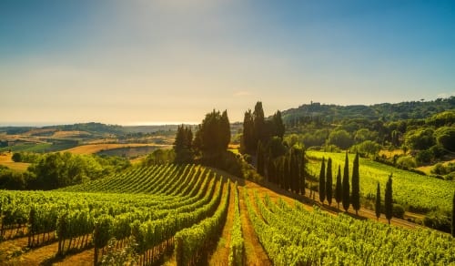 Italy - Tuscany edit