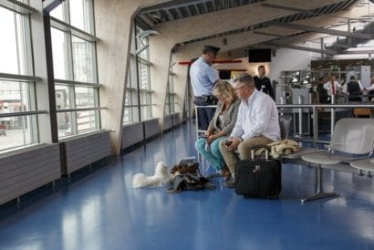 travel talk dog