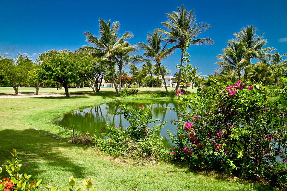 Paradisus Palma Real Golf & Spa Resort, Punta Cana