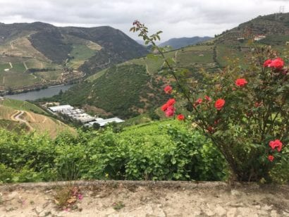 Portugal landscape and roses