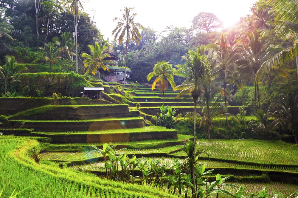 First-Timers' Guide to Bali